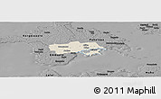 Shaded Relief Panoramic Map of Käina, darken, desaturated