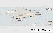 Shaded Relief Panoramic Map of Käina, semi-desaturated