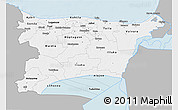 Gray 3D Map of Ida-Viru, single color outside
