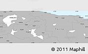 Gray Simple Map of Kohtla-Järve