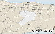 Classic Style 3D Map of Mäetaguse