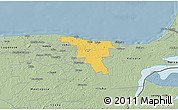 Savanna Style 3D Map of Toila