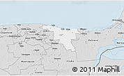 Silver Style 3D Map of Toila