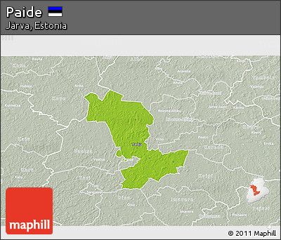 Physical 3D Map of Paide, lighten, semi-desaturated