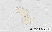 Shaded Relief 3D Map of Paide, lighten, desaturated