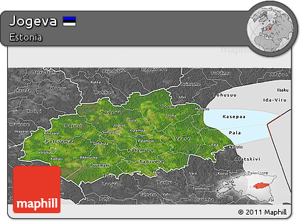 Satellite 3D Map of Jogeva, desaturated