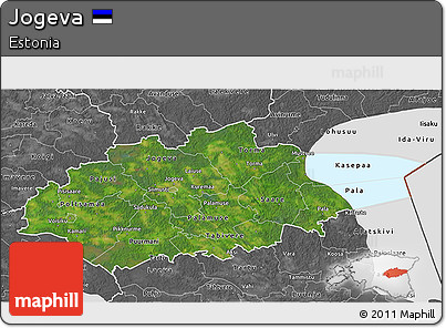 Satellite 3D Map of Jogeva, desaturated