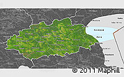 Satellite 3D Map of Jogeva, desaturated