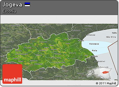 Satellite 3D Map of Jogeva, semi-desaturated