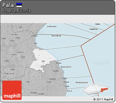 Gray 3D Map of Pala