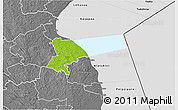 Physical 3D Map of Pala, desaturated