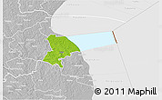 Physical 3D Map of Pala, lighten, desaturated
