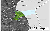 Satellite 3D Map of Pala, desaturated