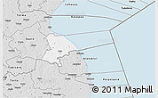 Silver Style 3D Map of Pala