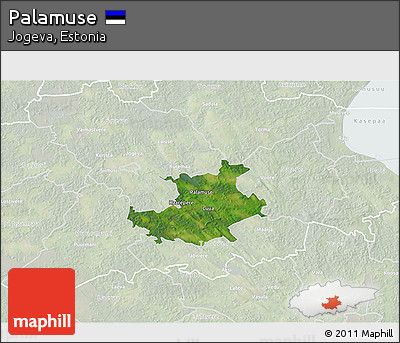 Satellite 3D Map of Palamuse, lighten