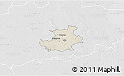 Shaded Relief 3D Map of Palamuse, lighten, desaturated