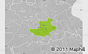 Physical Map of Palamuse, lighten, desaturated