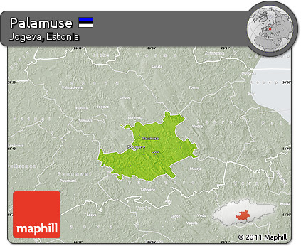 Physical Map of Palamuse, lighten, semi-desaturated