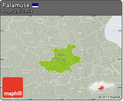 Physical Map of Palamuse, lighten, semi-desaturated