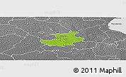Physical Panoramic Map of Palamuse, desaturated