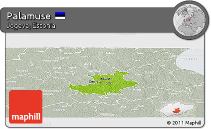 Physical Panoramic Map of Palamuse, lighten, semi-desaturated