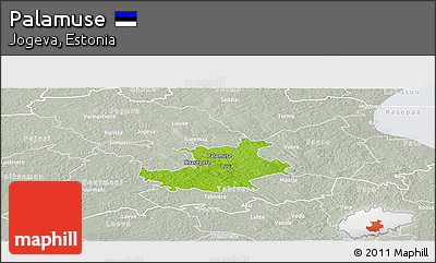 Physical Panoramic Map of Palamuse, lighten, semi-desaturated