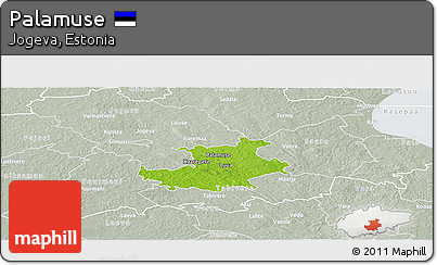 Physical Panoramic Map of Palamuse, lighten, semi-desaturated