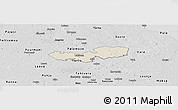 Shaded Relief Panoramic Map of Tabivere, desaturated