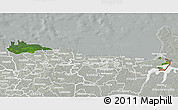 Satellite 3D Map of Narva, lighten, semi-desaturated