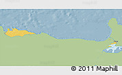 Savanna Style 3D Map of Narva, single color outside