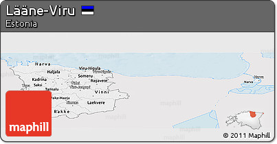 Silver Style Panoramic Map of Lääne-Viru, single color outside