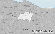 Gray 3D Map of Rägavere