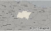 Shaded Relief 3D Map of Rägavere, darken, semi-desaturated