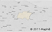 Shaded Relief 3D Map of Rägavere, desaturated