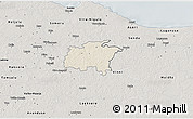Shaded Relief 3D Map of Rägavere, semi-desaturated