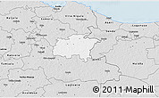 Silver Style 3D Map of Rägavere