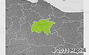 Physical Map of Rägavere, desaturated
