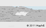 Gray Panoramic Map of Rägavere