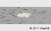 Shaded Relief Panoramic Map of Rägavere, darken, desaturated