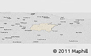 Shaded Relief Panoramic Map of Rägavere, desaturated