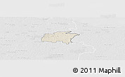 Shaded Relief Panoramic Map of Rägavere, lighten, desaturated