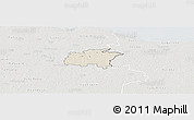 Shaded Relief Panoramic Map of Rägavere, lighten, semi-desaturated