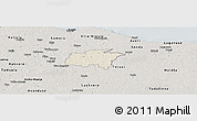 Shaded Relief Panoramic Map of Rägavere, semi-desaturated