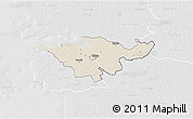 Shaded Relief 3D Map of Lihula, lighten, desaturated