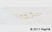 Shaded Relief Panoramic Map of Lihula, lighten, semi-desaturated