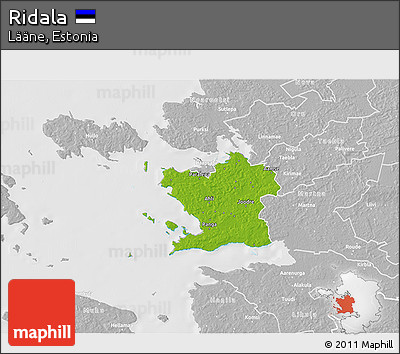 Physical 3D Map of Ridala, lighten, desaturated