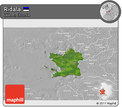 Satellite 3D Map of Ridala, lighten, desaturated