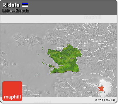Satellite 3D Map of Ridala, lighten, desaturated