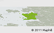 Physical Panoramic Map of Ridala, lighten, semi-desaturated