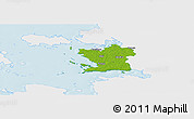 Physical Panoramic Map of Ridala, single color outside